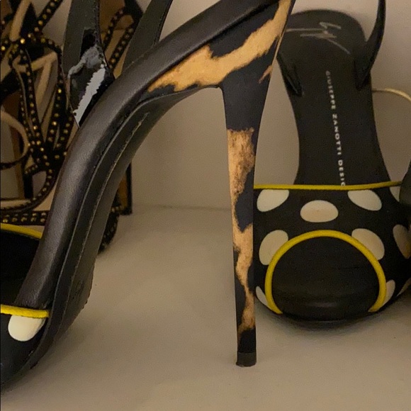 Giuseppe Zanotti - Picture 3 of 3